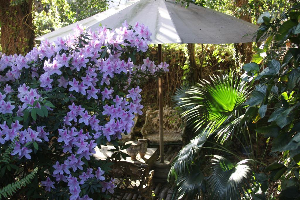 La Casona De Grace Bed and Breakfast Olivos Eksteriør billede