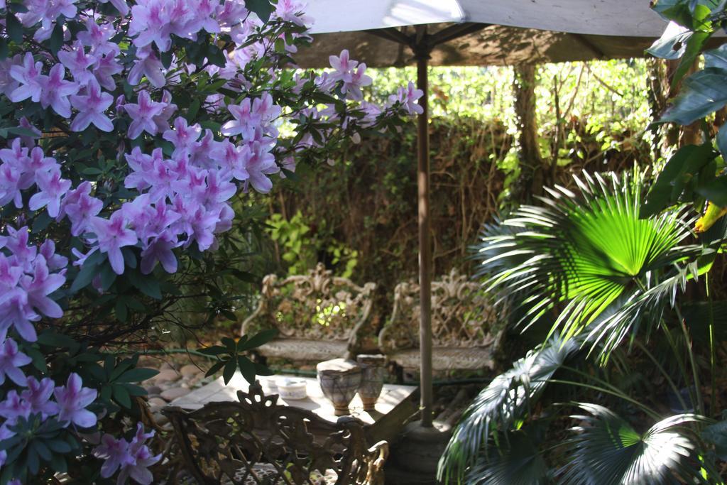 La Casona De Grace Bed and Breakfast Olivos Eksteriør billede