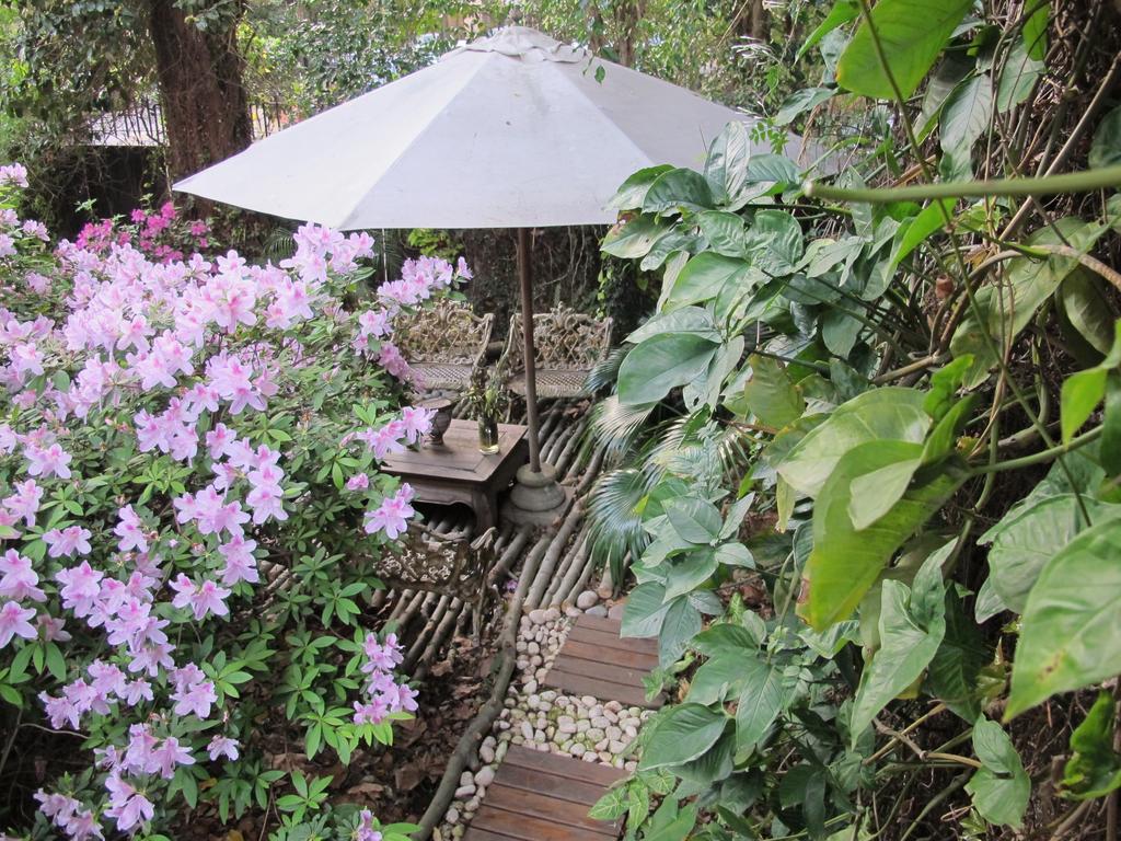La Casona De Grace Bed and Breakfast Olivos Eksteriør billede